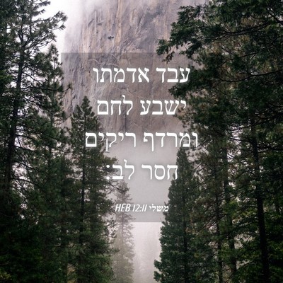 Picture 04 - משלי 12:11 HEB - עבד אדמתו ישבע לחם ומרדף - Bible Verse Picture