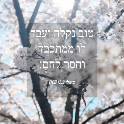 Picture 04 - משלי 12:9 HEB - טוב נקלה ועבד לו ממתכבד - Bible Verse Picture