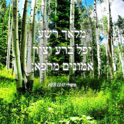 Picture 04 - משלי 13:17 HEB - מלאך רשע יפל ברע וציר - Bible Verse Picture