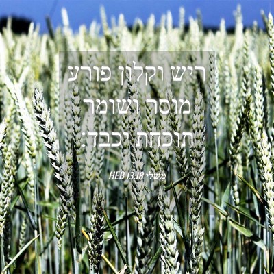 Picture 04 - משלי 13:18 HEB - ריש וקלון פורע מוסר ושומר - Bible Verse Picture