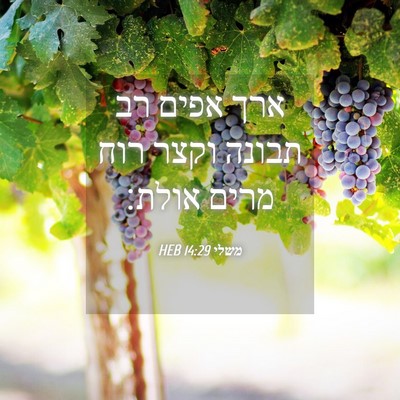 Picture 04 - משלי 14:29 HEB - ארך אפים רב תבונה וקצר רוח - Bible Verse Picture