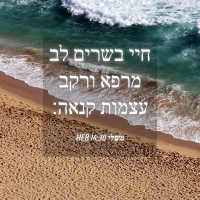 Picture 04 - משלי 14:30 HEB - חיי בשרים לב מרפא ורקב - Bible Verse Picture