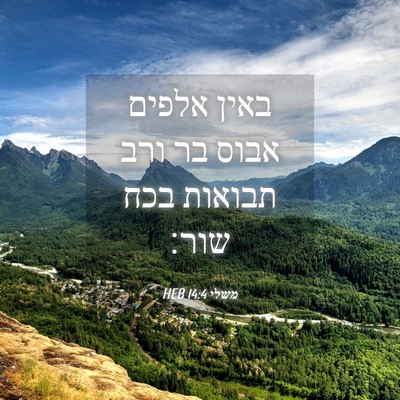 Picture 04 - משלי 14:4 HEB - באין אלפים אבוס בר ורב - Bible Verse Picture