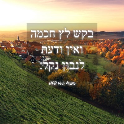 Picture 04 - משלי 14:6 HEB - בקש לץ חכמה ואין ודעת לנבון - Bible Verse Picture