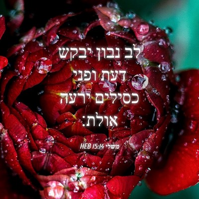 Picture 04 - משלי 15:14 HEB - לב נבון יבקש דעת ופני - Bible Verse Picture