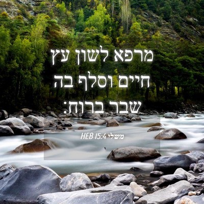 Picture 04 - משלי 15:4 HEB - מרפא לשון עץ חיים וסלף בה - Bible Verse Picture
