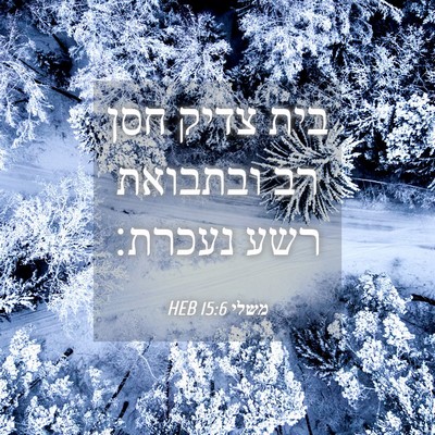 Picture 04 - משלי 15:6 HEB - בית צדיק חסן רב ובתבואת רשע - Bible Verse Picture