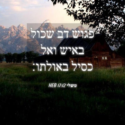 Picture 04 - משלי 17:12 HEB - פגוש דב שכול באיש ואל כסיל - Bible Verse Picture