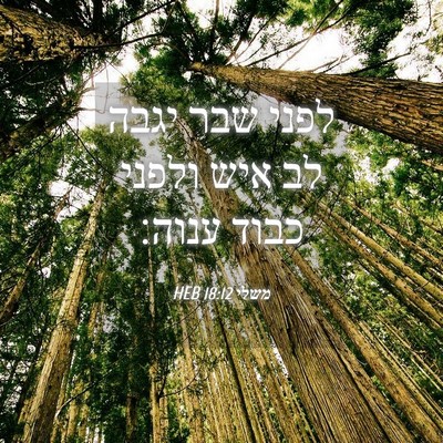 Picture 04 - משלי 18:12 HEB - לפני שבר יגבה לב איש ולפני - Bible Verse Picture