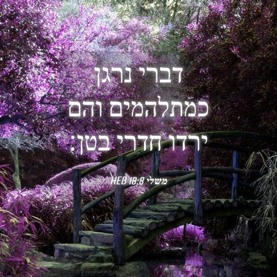Picture 04 - משלי 18:8 HEB - דברי נרגן כמתלהמים והם - Bible Verse Picture
