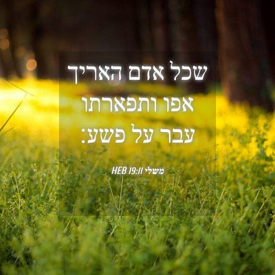 Picture 04 - משלי 19:11 HEB - שכל אדם האריך אפו ותפארתו - Bible Verse Picture