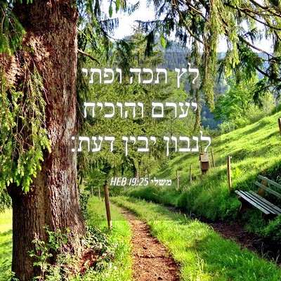 Picture 04 - משלי 19:25 HEB - לץ תכה ופתי יערם והוכיח - Bible Verse Picture