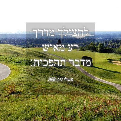 Picture 04 - משלי 2:12 HEB - להצילך מדרך רע מאיש מדבר - Bible Verse Picture