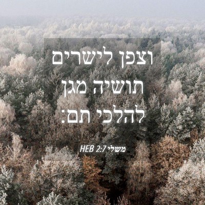 Picture 04 - משלי 2:7 HEB - וצפן לישרים תושיה מגן - Bible Verse Picture