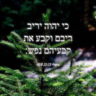 Picture 04 - משלי 22:23 HEB - כי יהוה יריב ריבם וקבע את - Bible Verse Picture
