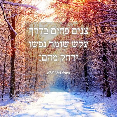 Picture 04 - משלי 22:5 HEB - צנים פחים בדרך עקש שומר - Bible Verse Picture