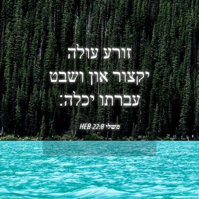 Picture 04 - משלי 22:8 HEB - זורע עולה יקצור און ושבט - Bible Verse Picture