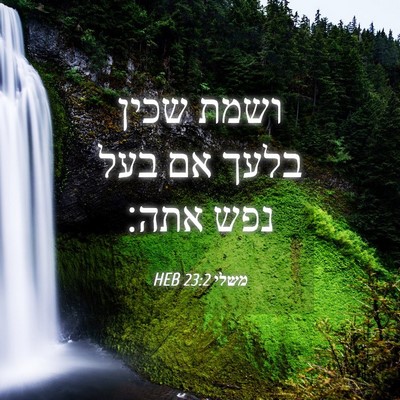 Picture 04 - משלי 23:2 HEB - ושמת שכין בלעך אם בעל נפש - Bible Verse Picture