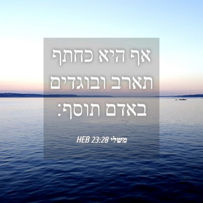 Picture 04 - משלי 23:28 HEB - אף היא כחתף תארב ובוגדים - Bible Verse Picture