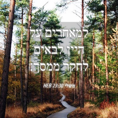 Picture 04 - משלי 23:30 HEB - למאחרים על היין לבאים לחקר - Bible Verse Picture