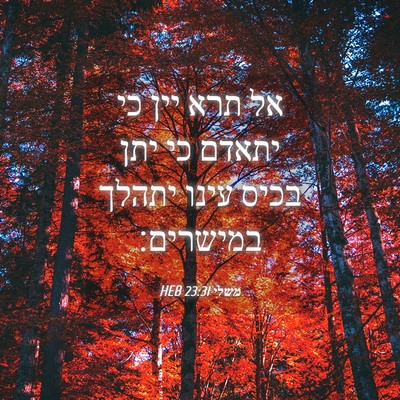 Picture 04 - משלי 23:31 HEB - אל תרא יין כי יתאדם כי יתן - Bible Verse Picture