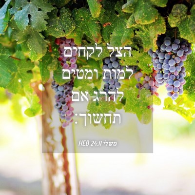 Picture 04 - משלי 24:11 HEB - הצל לקחים למות ומטים להרג - Bible Verse Picture