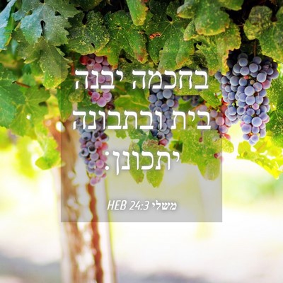 Picture 04 - משלי 24:3 HEB - בחכמה יבנה בית ובתבונה - Bible Verse Picture
