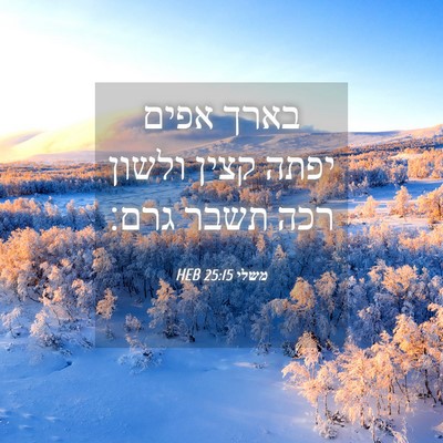 Picture 04 - משלי 25:15 HEB - בארך אפים יפתה קצין ולשון - Bible Verse Picture