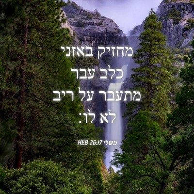 Picture 04 - משלי 26:17 HEB - מחזיק באזני כלב עבר מתעבר - Bible Verse Picture