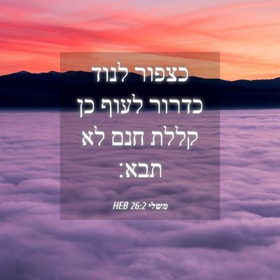 Picture 04 - משלי 26:2 HEB - כצפור לנוד כדרור לעוף כן - Bible Verse Picture