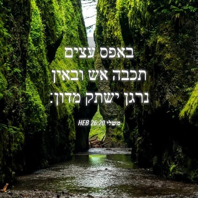 Picture 04 - משלי 26:20 HEB - באפס עצים תכבה אש ובאין - Bible Verse Picture
