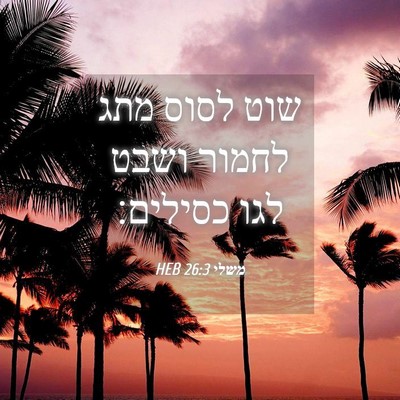 Picture 04 - משלי 26:3 HEB - שוט לסוס מתג לחמור ושבט לגו - Bible Verse Picture