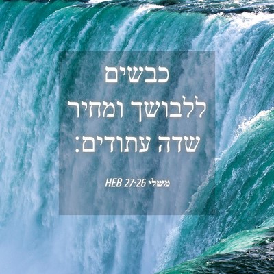 Picture 04 - משלי 27:26 HEB - כבשים ללבושך ומחיר שדה - Bible Verse Picture