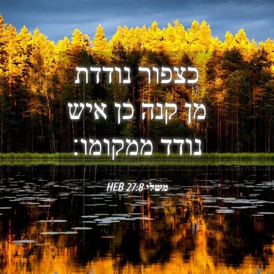 Picture 04 - משלי 27:8 HEB - כצפור נודדת מן קנה כן איש - Bible Verse Picture