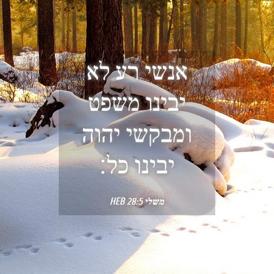 Picture 04 - משלי 28:5 HEB - אנשי רע לא יבינו משפט - Bible Verse Picture