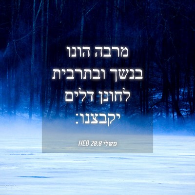 Picture 04 - משלי 28:8 HEB - מרבה הונו בנשך ובתרבית - Bible Verse Picture