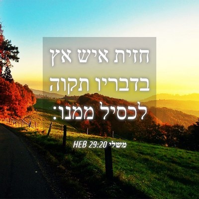 Picture 04 - משלי 29:20 HEB - חזית איש אץ בדבריו תקוה - Bible Verse Picture