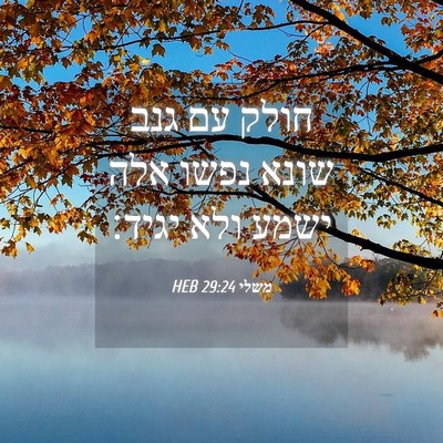 Picture 04 - משלי 29:24 HEB - חולק עם גנב שונא נפשו אלה - Bible Verse Picture