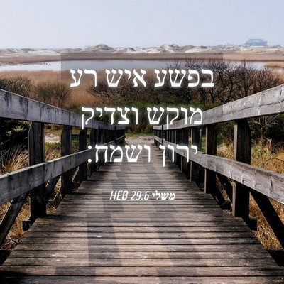 Picture 04 - משלי 29:6 HEB - בפשע איש רע מוקש וצדיק ירון - Bible Verse Picture