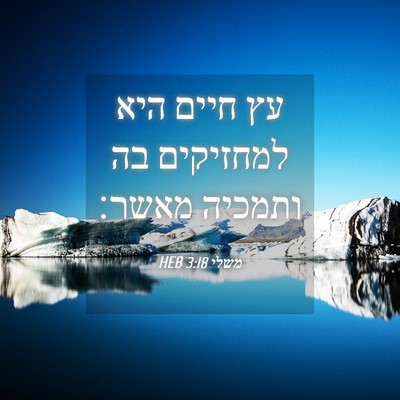 Picture 04 - משלי 3:18 HEB - עץ חיים היא למחזיקים בה - Bible Verse Picture
