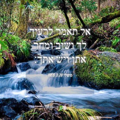 Picture 04 - משלי 3:28 HEB - אל תאמר לרעיך לך ושוב ומחר - Bible Verse Picture