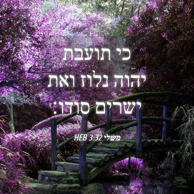 Picture 04 - משלי 3:32 HEB - כי תועבת יהוה נלוז ואת - Bible Verse Picture