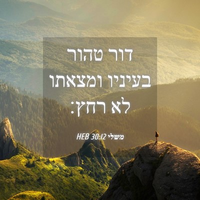 Picture 04 - משלי 30:12 HEB - דור טהור בעיניו ומצאתו לא - Bible Verse Picture