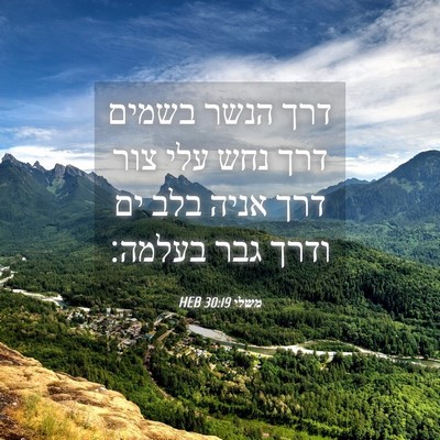 Picture 04 - משלי 30:19 HEB - דרך הנשר בשמים דרך נחש עלי - Bible Verse Picture