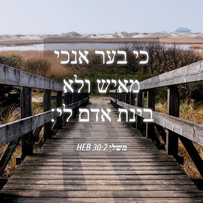 Picture 04 - משלי 30:2 HEB - כי בער אנכי מאיש ולא בינת - Bible Verse Picture