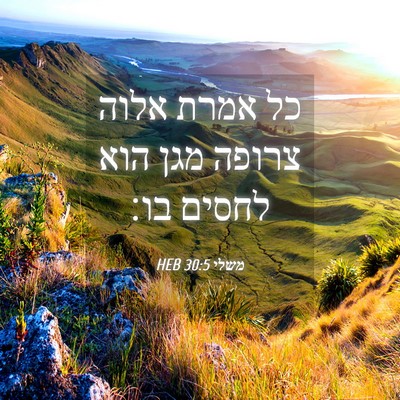 Picture 04 - משלי 30:5 HEB - כל אמרת אלוה צרופה מגן הוא - Bible Verse Picture