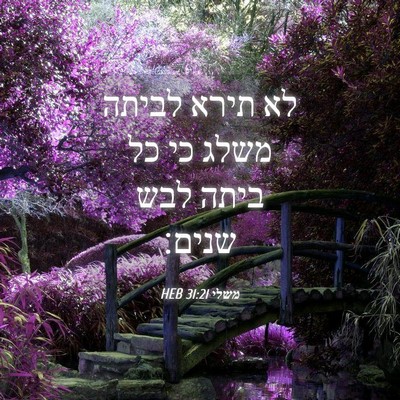 Picture 04 - משלי 31:21 HEB - לא תירא לביתה משלג כי כל - Bible Verse Picture