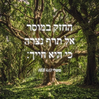 Picture 04 - משלי 4:13 HEB - החזק במוסר אל תרף נצרה כי - Bible Verse Picture