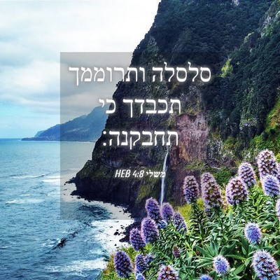 Picture 04 - משלי 4:8 HEB - סלסלה ותרוממך תכבדך כי - Bible Verse Picture