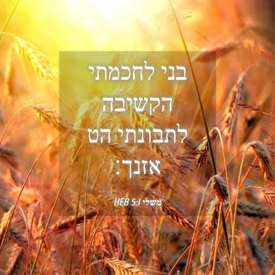 Picture 04 - משלי 5:1 HEB - בני לחכמתי הקשיבה לתבונתי - Bible Verse Picture